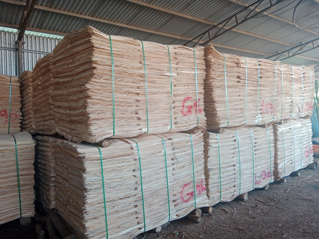 Veneer Peeling Production Process in Vietnam